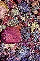 Multi-colored Rocks -- Little Jocko River